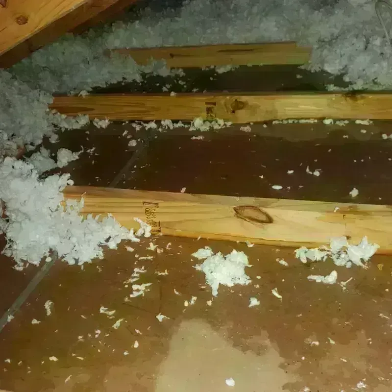 Attic Water Damage in Breckinridge Center, KY